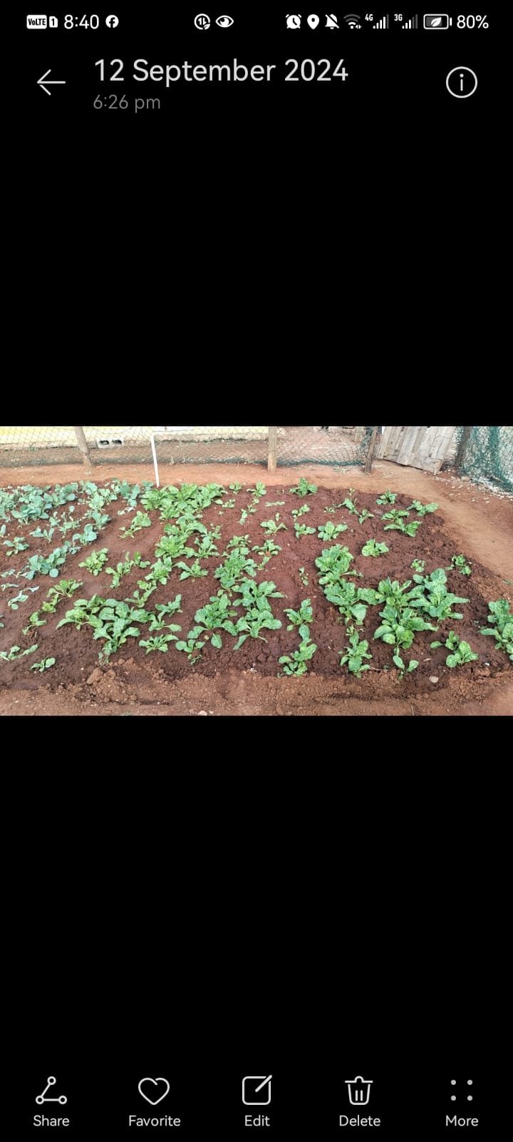 Gallery Image 26